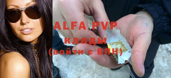 индика Абаза