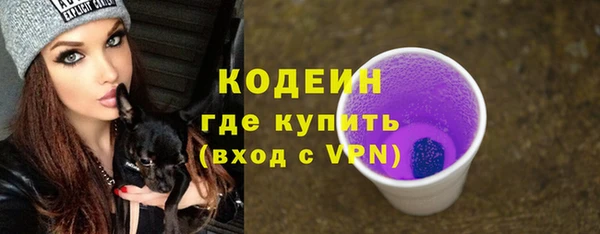 индика Абаза