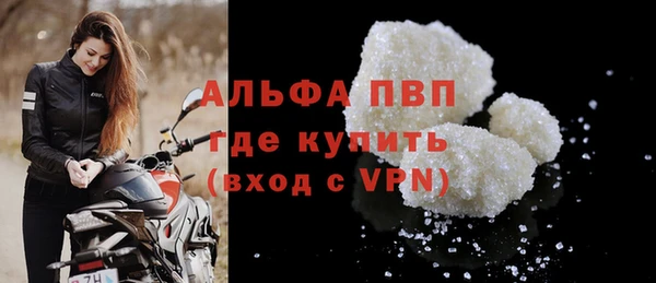 индика Абаза