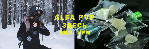 индика Абаза